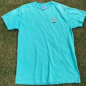 COPY - turquoise ripndip skating flamingo t shirt